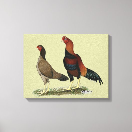 Aseel Wheaten Chickens Leinwanddruck (Vorderseite)