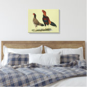 Aseel Wheaten Chickens Leinwanddruck (Insitu (Schlafzimmer))