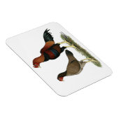 Aseel Wheaten Chickens Magnet (Rechte Seite)