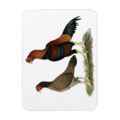 Aseel Wheaten Chickens Magnet (Vertikal)