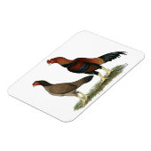 Aseel Wheaten Chickens Magnet (Linke Seite)