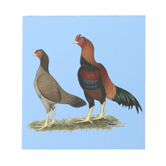 Aseel Wheaten Chickens Notizblock (Vorderseite)
