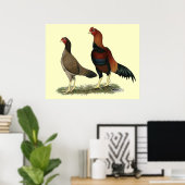 Aseel Wheaten Chickens Poster (Heimbüro)
