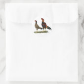 Aseel Wheaten Chickens Runder Aufkleber (Tasche)