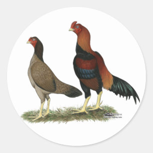 Aseel Wheaten Chickens Runder Aufkleber