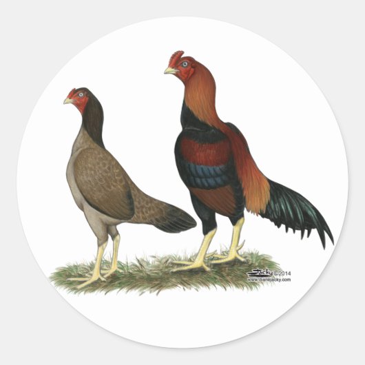 Aseel Wheaten Chickens Runder Aufkleber (Vorderseite)