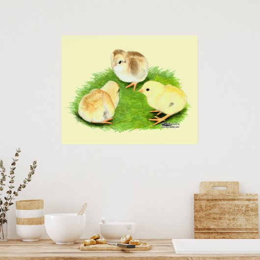 Aseel Wheaten Chicks Poster (Küche)