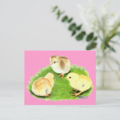 Aseel Wheaten Chicks Postkarte (Stehend Vorderseite)
