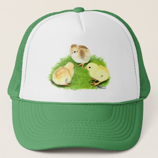 Aseel Wheaten Chicks Truckerkappe (Vorderseite)