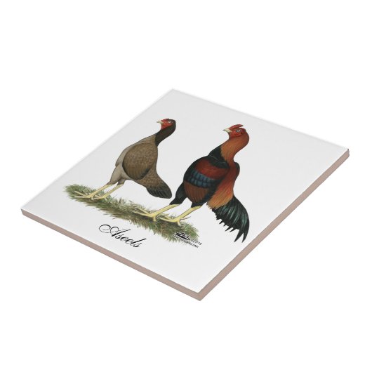 Aseel Wheaten Hühner Fliese (Seite)