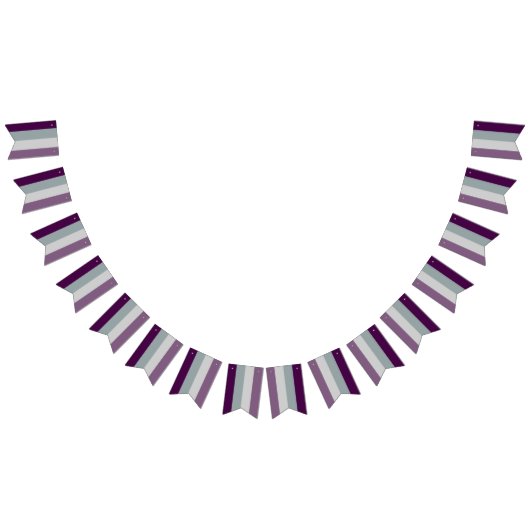 Asexual Flag Bunting Banner LGBT-Party (Alle)