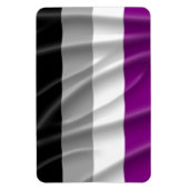 ASEXUAL FLAG FLYING -.png Magnet