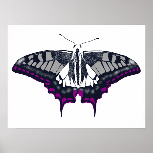 Asexual Flag Swallowtail Butterfly Poster (Vorne)