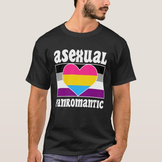 Asexual Panromantic Pride Flag Cute  Ace Aesthetic T-Shirt (Vorderseite)