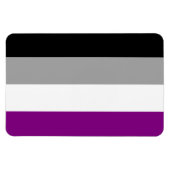 Asexual Pride Magnet (Horizontal)