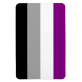 Asexual Pride Magnet (Vertikal)