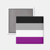 asexuelle Pride-Flagge Magnet (Vorderseite/Rückseite)