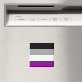 asexuelle Pride-Flagge Magnet (In Situ (Geschirrspüler))