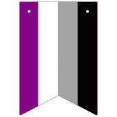 Asexuelle Pride-Flagge Wimpelkette (Zweite Fahne)