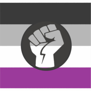 Asexuelle Protestflagge Aufkleber