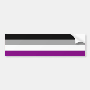 ASEXUTIVE PRIDE FLAG BAR AUTOAUFKLEBER