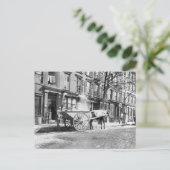 Ash Cart New York 1896 Postkarte (Stehend Vorderseite)