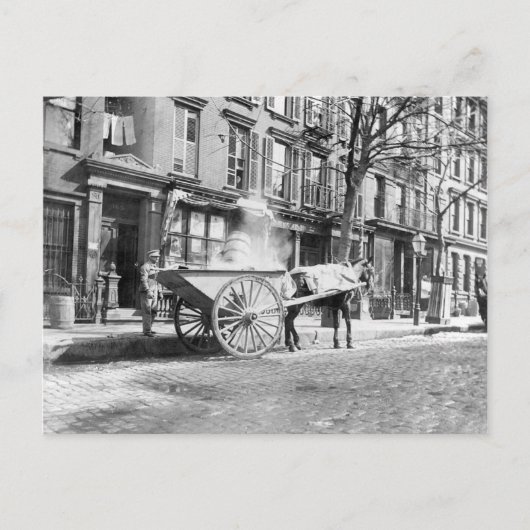 Ash Cart New York 1896 Postkarte (Vorderseite)