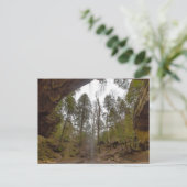 Ash Cave, Hocking Hills Staat Park, Ohio Postkarte (Stehend Vorderseite)