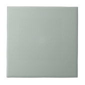 Ash Gray Keramik Tile Fliese (Vorderseite)