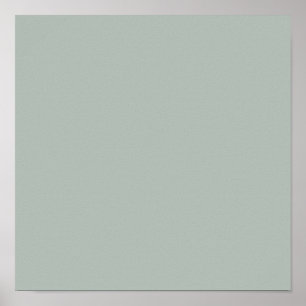 Ash gray (solid color) poster