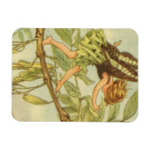 Ash Tree Fairy Walking auf Zweig Magnet (Horizontal)