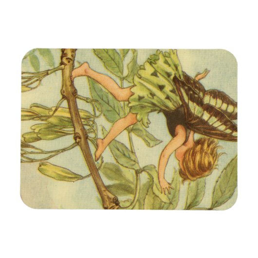 Ash Tree Fairy Walking auf Zweig Magnet (Horizontal)