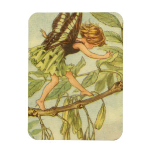 Ash Tree Fairy Walking auf Zweig Magnet