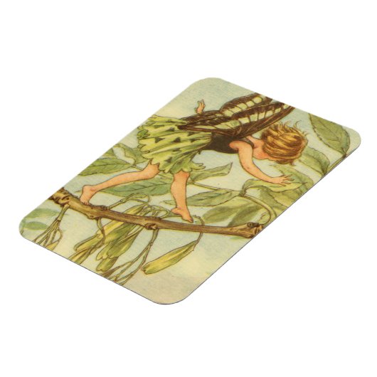 Ash Tree Fairy Walking auf Zweig Magnet (Linke Seite)
