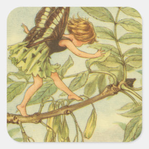 Ash Tree Fairy Walking auf Zweig Quadratischer Aufkleber