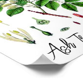 Ash Tree Vintage botanische Illustration Poster (Ecke)