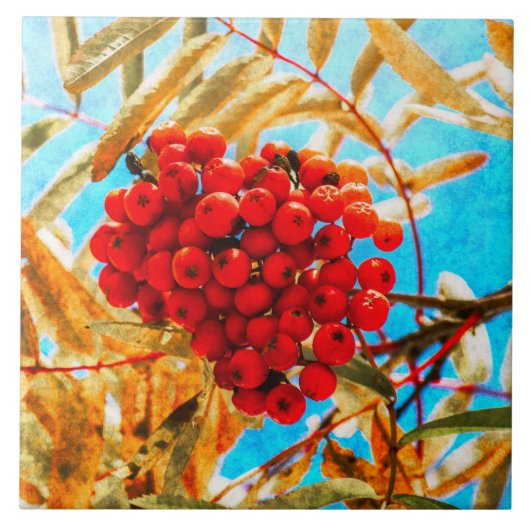 Ashberry artistisch fliese (Vorderseite)