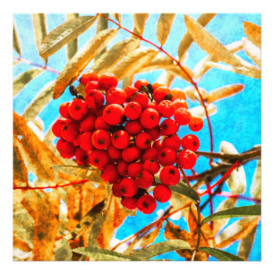 Ashberry artistisch fotodruck
