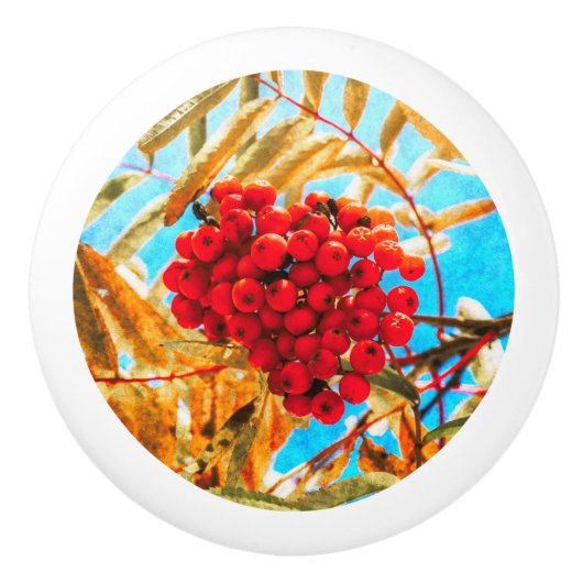 Ashberry artistisch keramikknauf (Vorderseite)