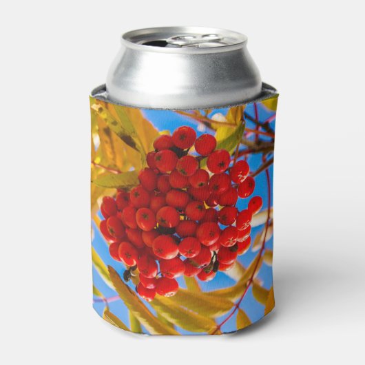 Ashberry Dosenkühler (Kanne Vorderseite)