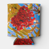 Ashberry Dosenkühler (Vorderseite)