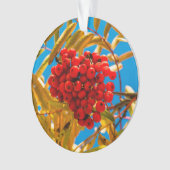 Ashberry Ornament (Vorderseite)