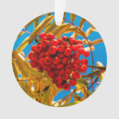 Ashberry Ornament (Vorderseite)