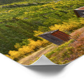Ashcroft, Colorado Ghost Town Cabin Poster (Ecke)