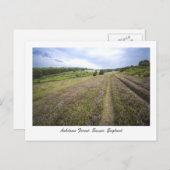 Ashdown Forest Postkarte (Vorne/Hinten)
