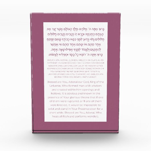 Asher Yatzar Hebrew Blessing Dusty Pink Fotoblock (Vorderseite)