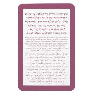 Asher Yatzar Hebrew Blessing Dusty Pink Poster Magnet