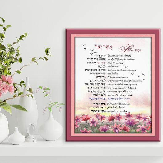 Asher Yatzar Hebrew Morning Gebet Rosa Roter Kosmo Fotodruck