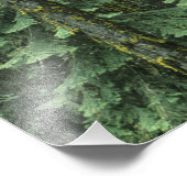 Ashland, Rogue RIver National Forest, Fotodruck (Ecke)