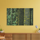 Ashland, Rogue RIver National Forest, Leinwanddruck (Insitu (Wohnzimmer))